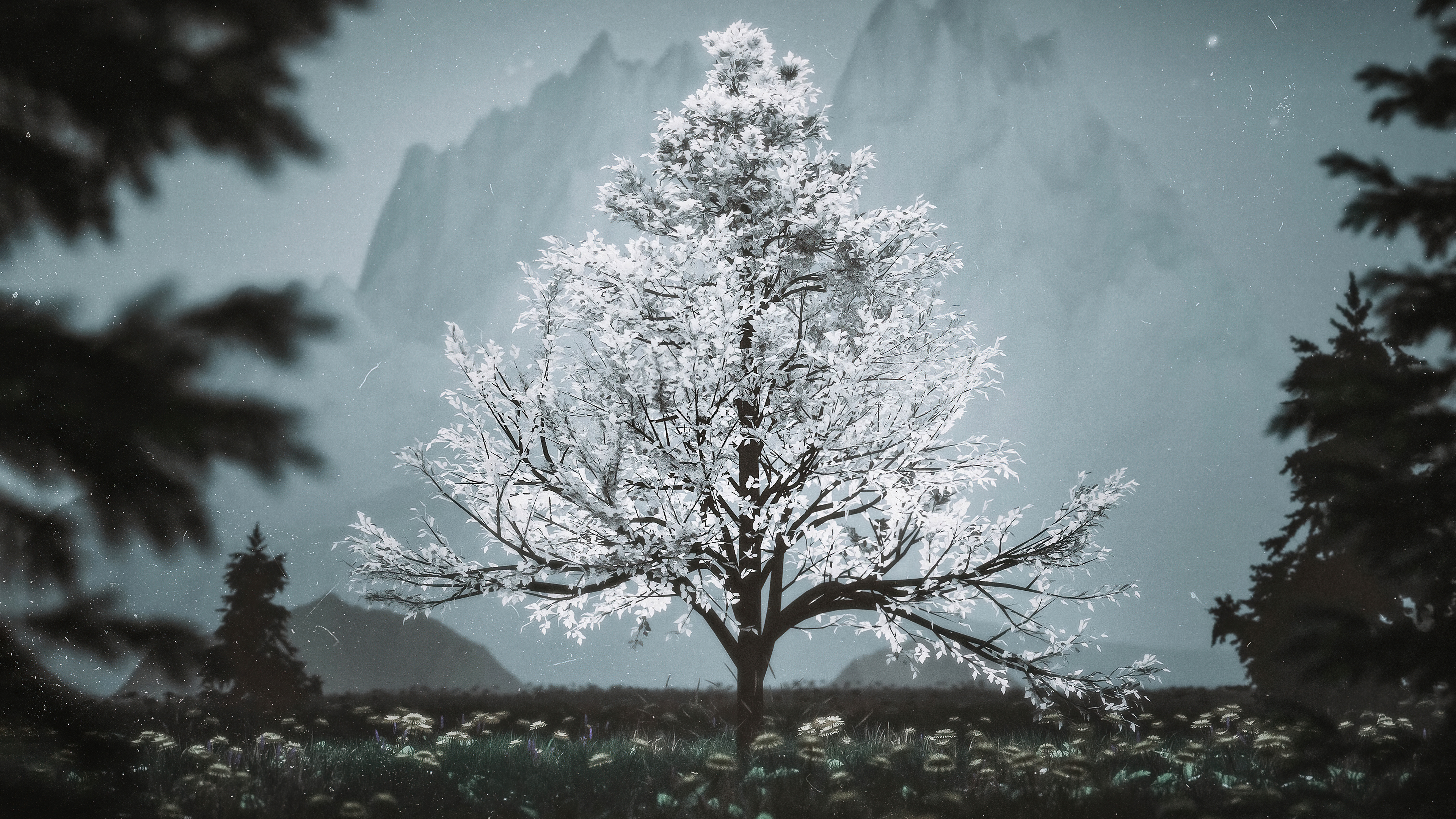 免费照片一棵开着白花的树的效果图