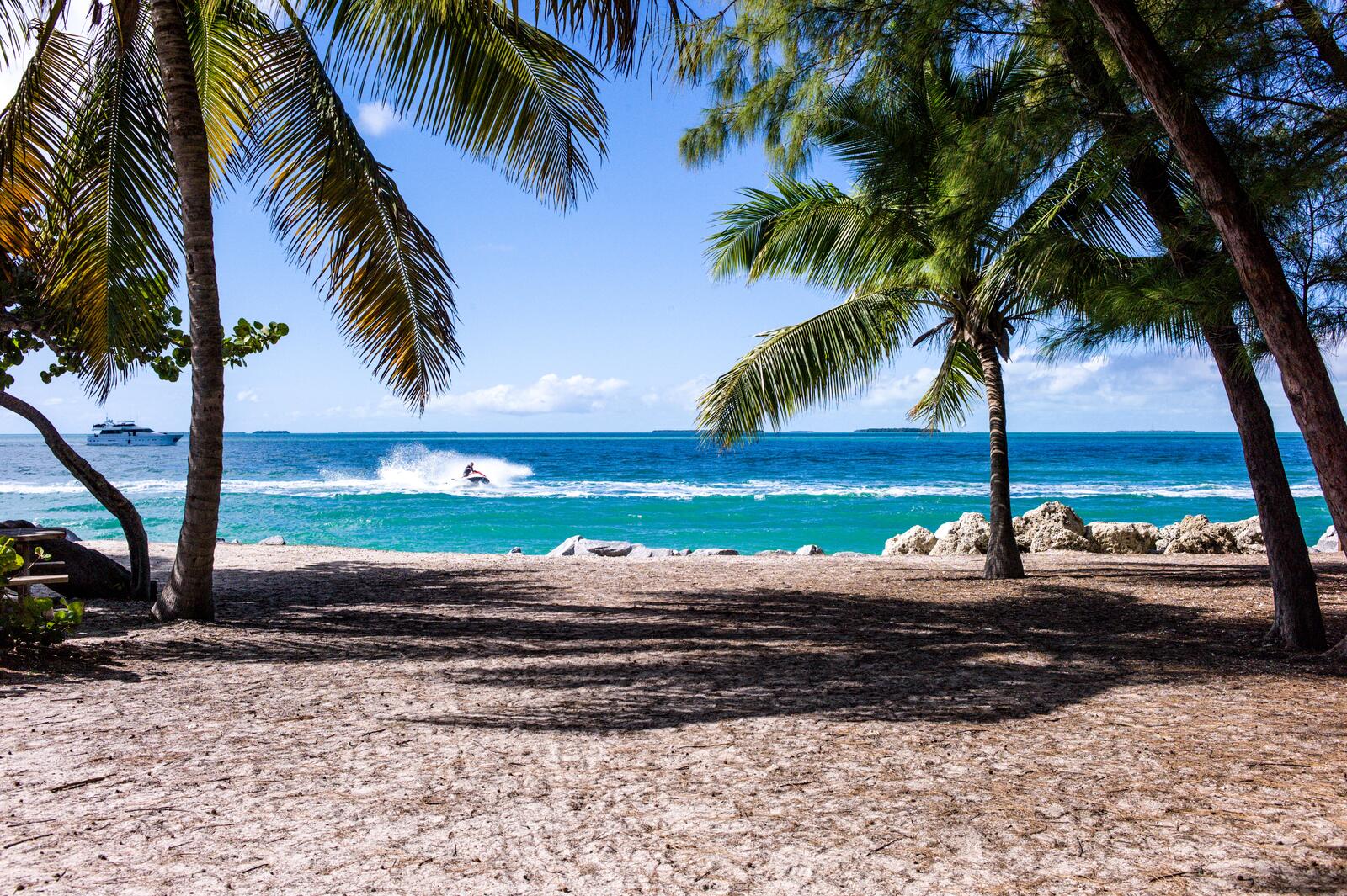Бесплатное фото Пляж с пальмами с видом на море