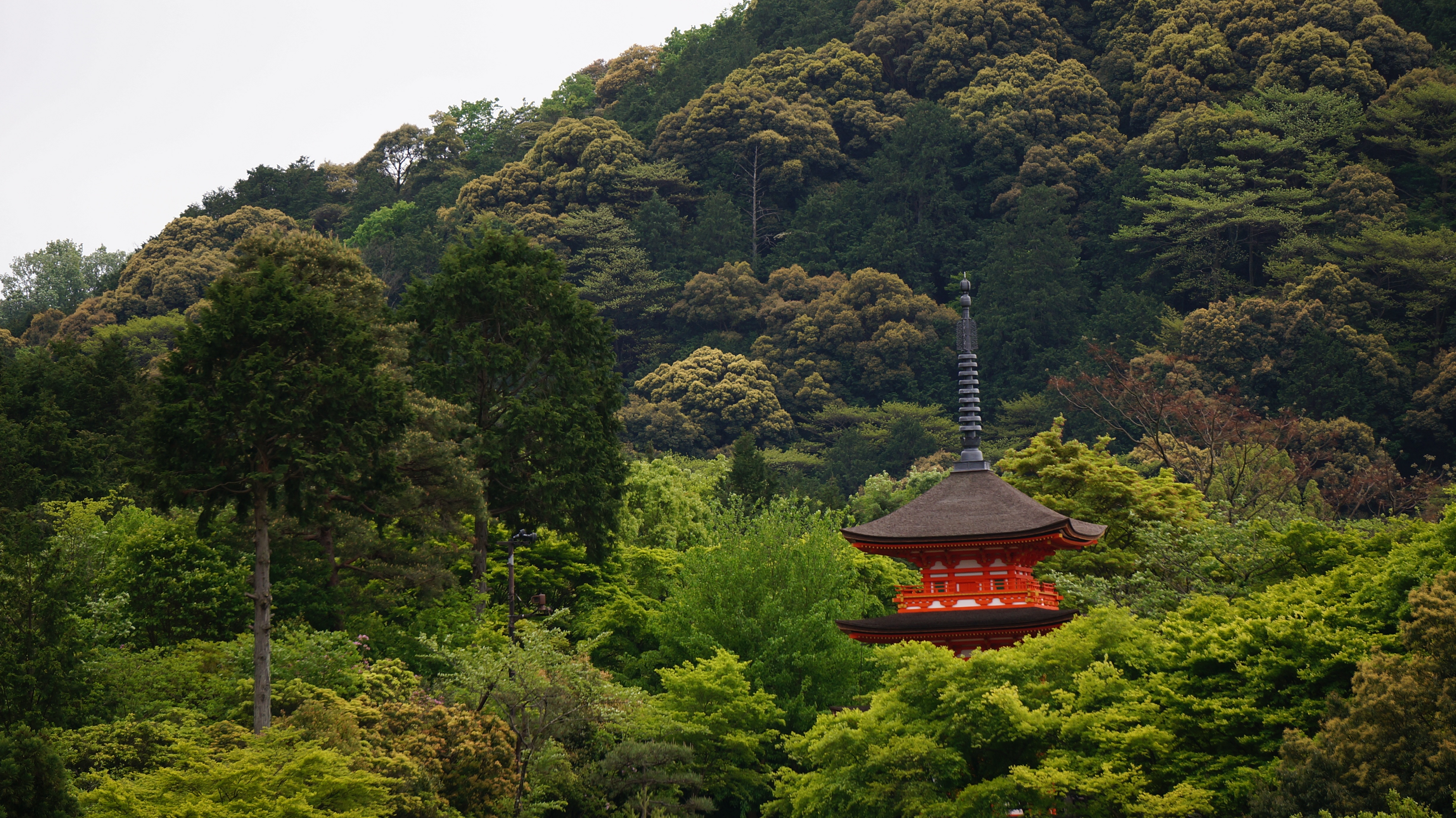 免费照片日本森林中一座孤零零的红色建筑。