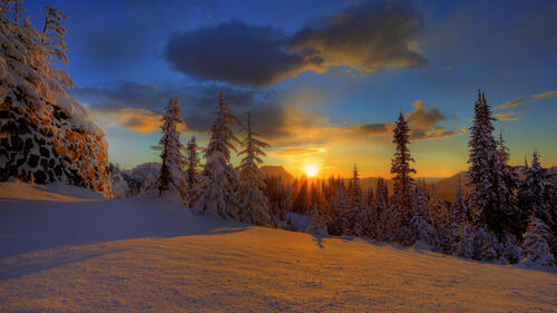 Winter nature at sunset
