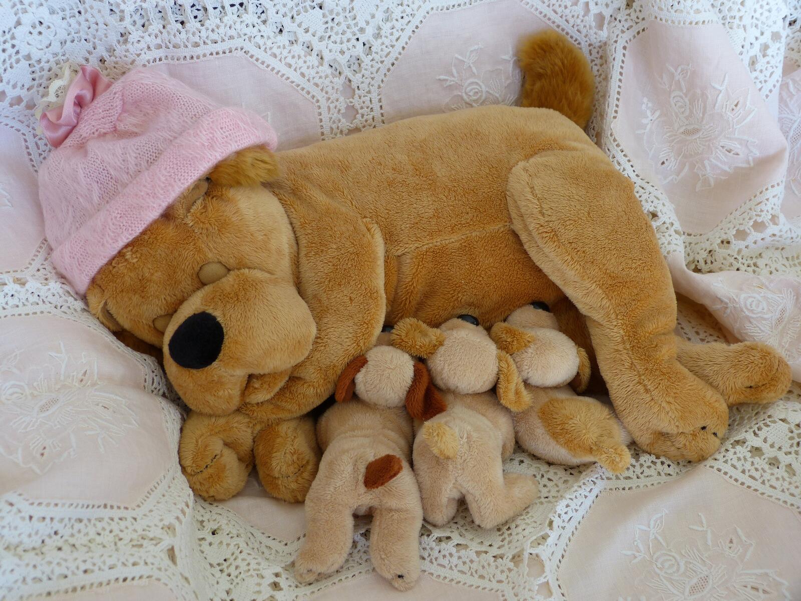 Бесплатное фото Игрушечная собачья семья