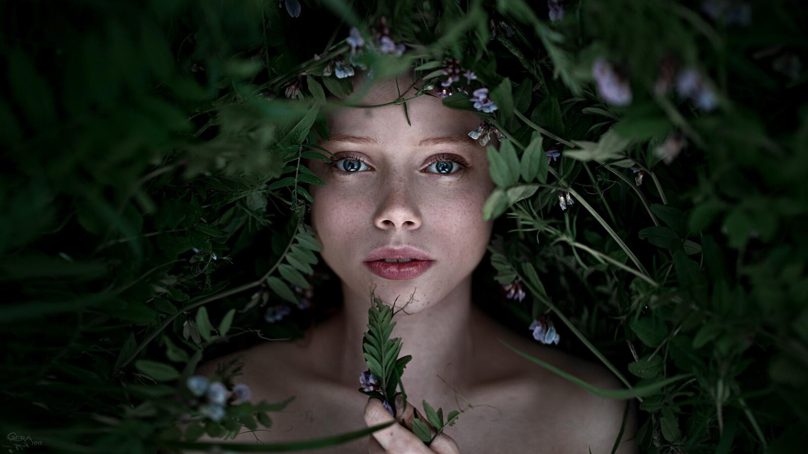 Wallpapers face forest woman on the desktop