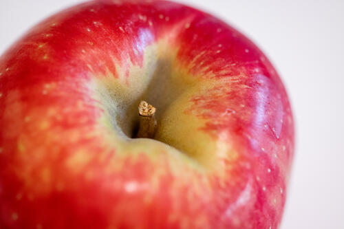 Close-up of a red apple