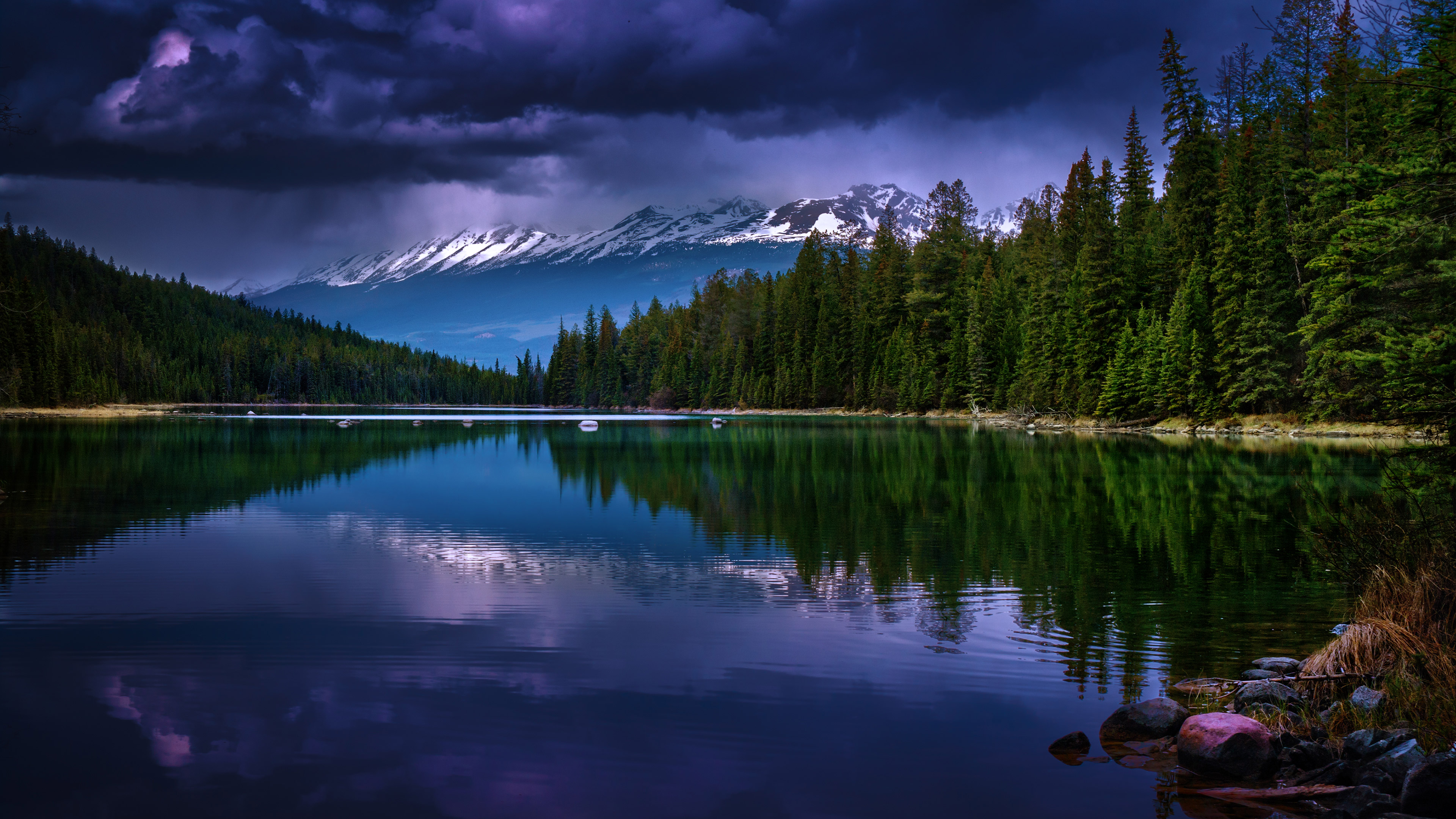 Бесплатное фото Летнее озеро с отражением неба и деревьев