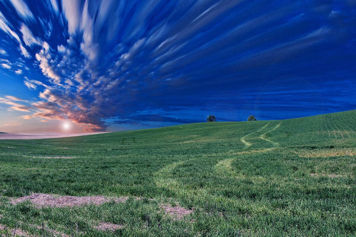 Компьютерная картинка с изображением зеленого поля на закате