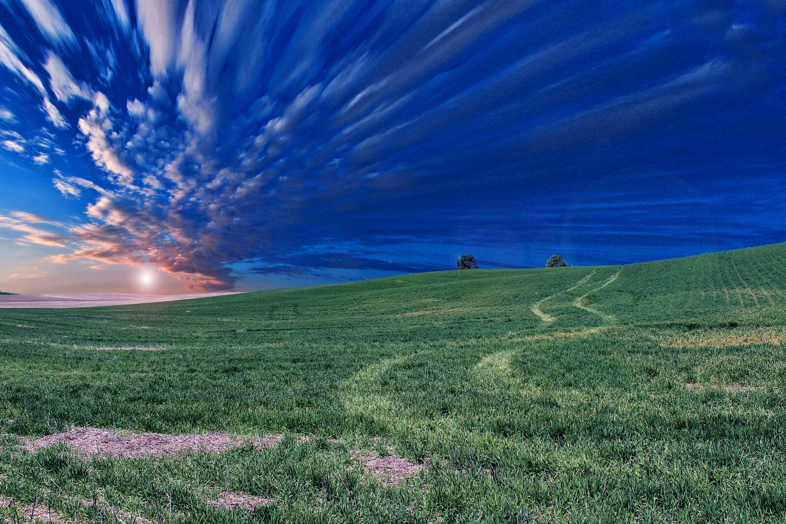 Бесплатное фото Компьютерная картинка с изображением зеленого поля на закате