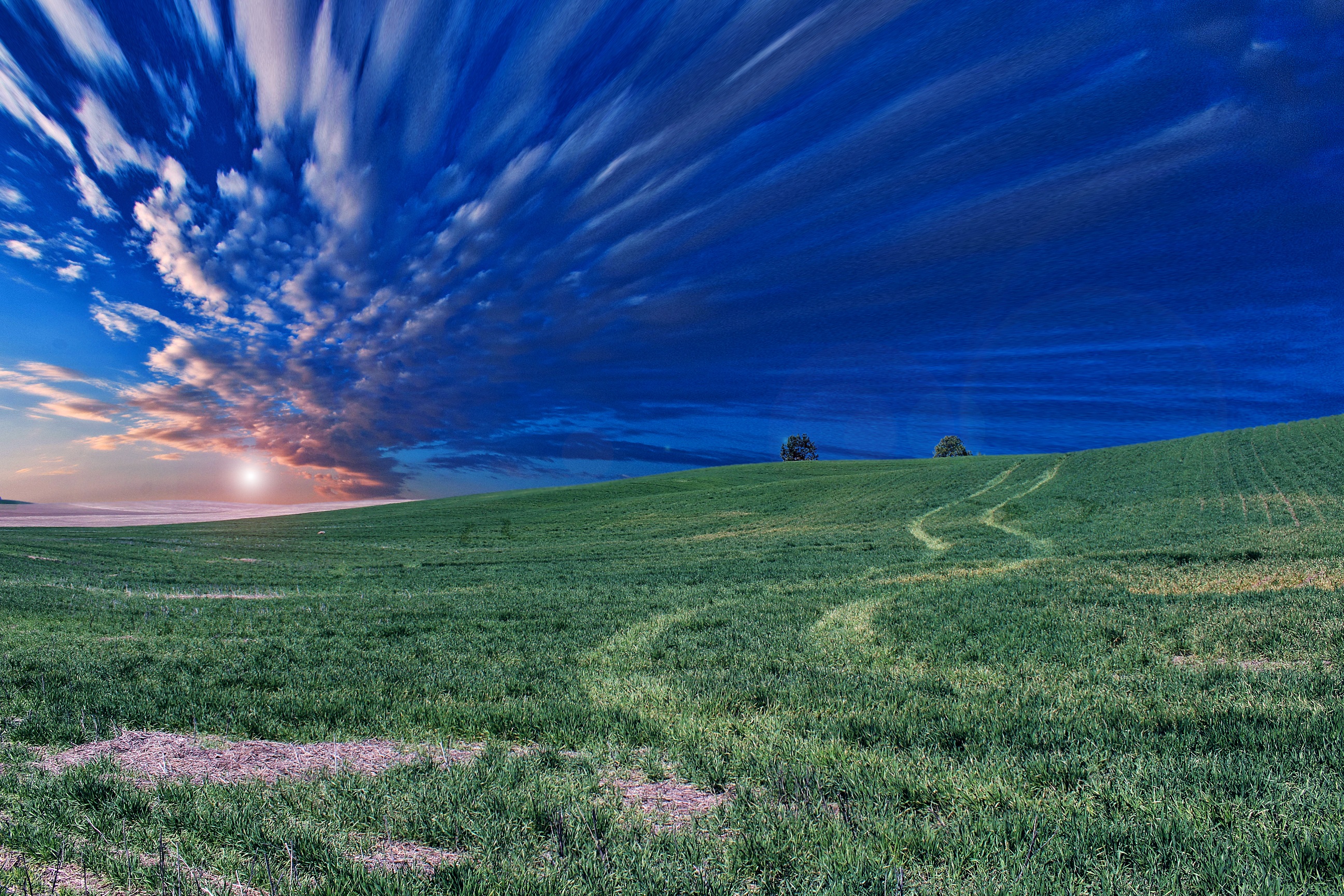Бесплатное фото Компьютерная картинка с изображением зеленого поля на закате