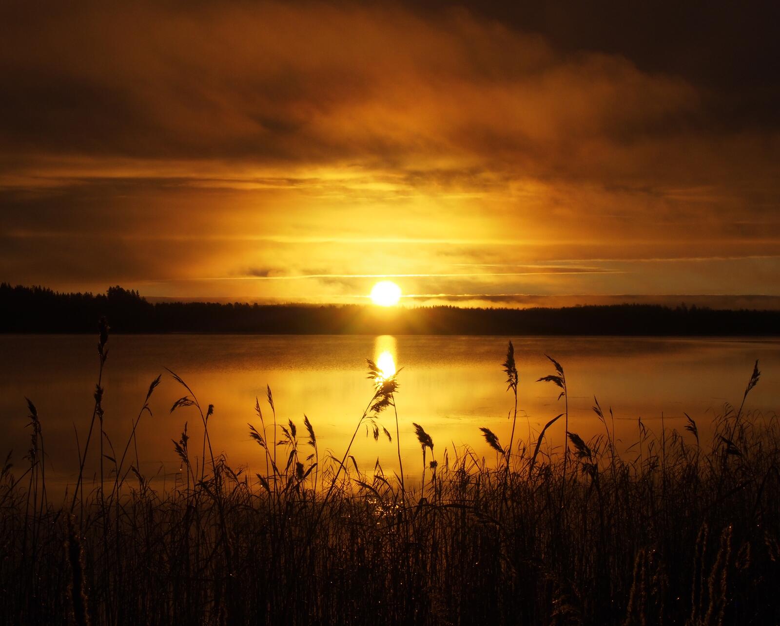 Бесплатное фото Красочный закат на озере