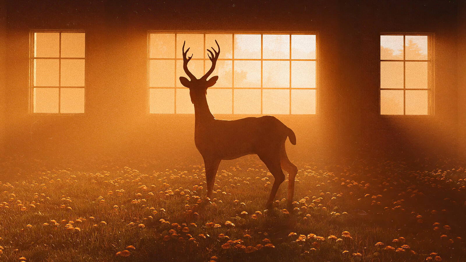 Free photo A deer indoors with a glade of flowers looks out the window