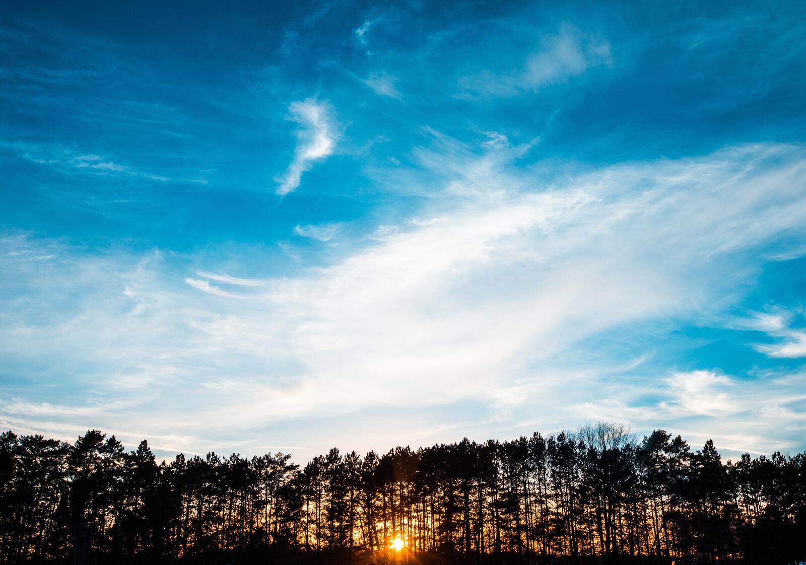 Бесплатное фото Голубое небо на закате
