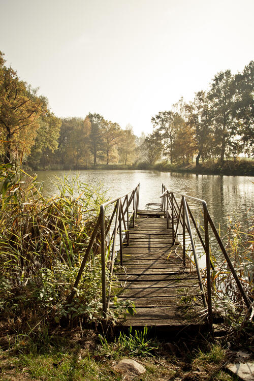 A wooden bridge by a small lake