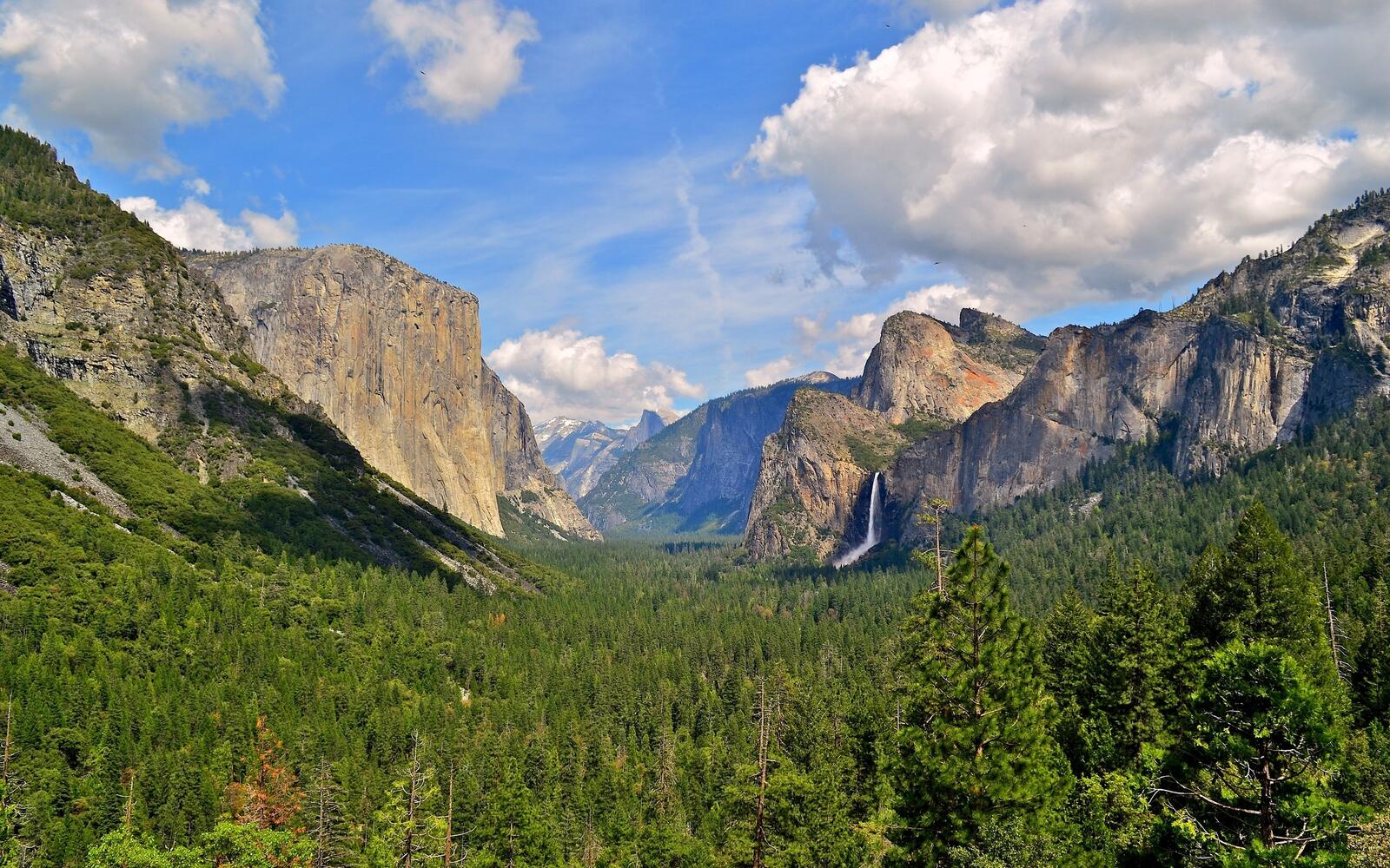 Бесплатное фото Ущелье национального парка Йосемити с лесом и водопадом