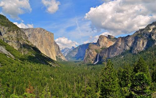 Yosemite National Park gorge with forest and waterfall