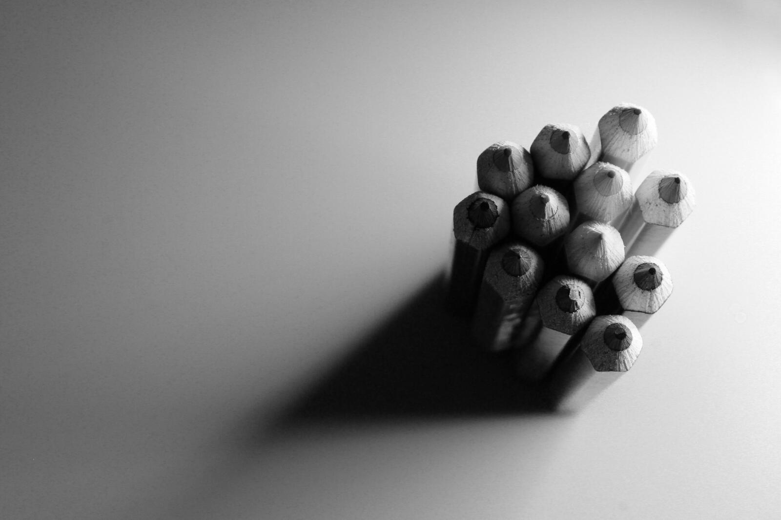 Карандаши на черно-белом фото