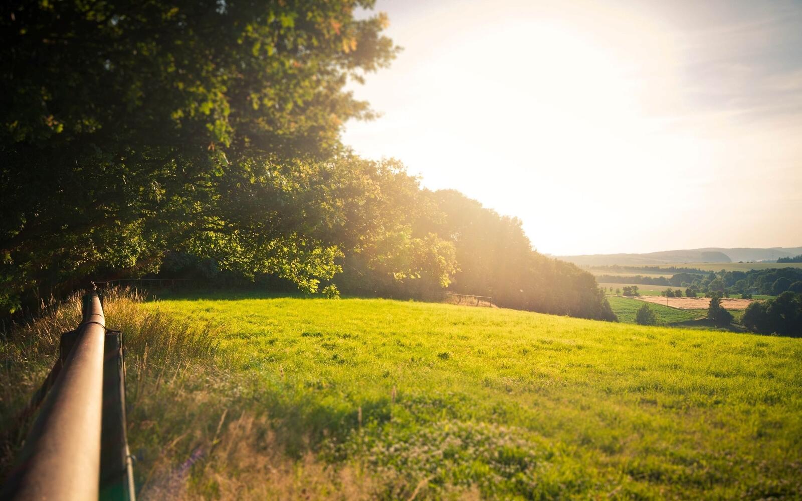 Бесплатное фото Зеленая лужайка в солнечную погоду
