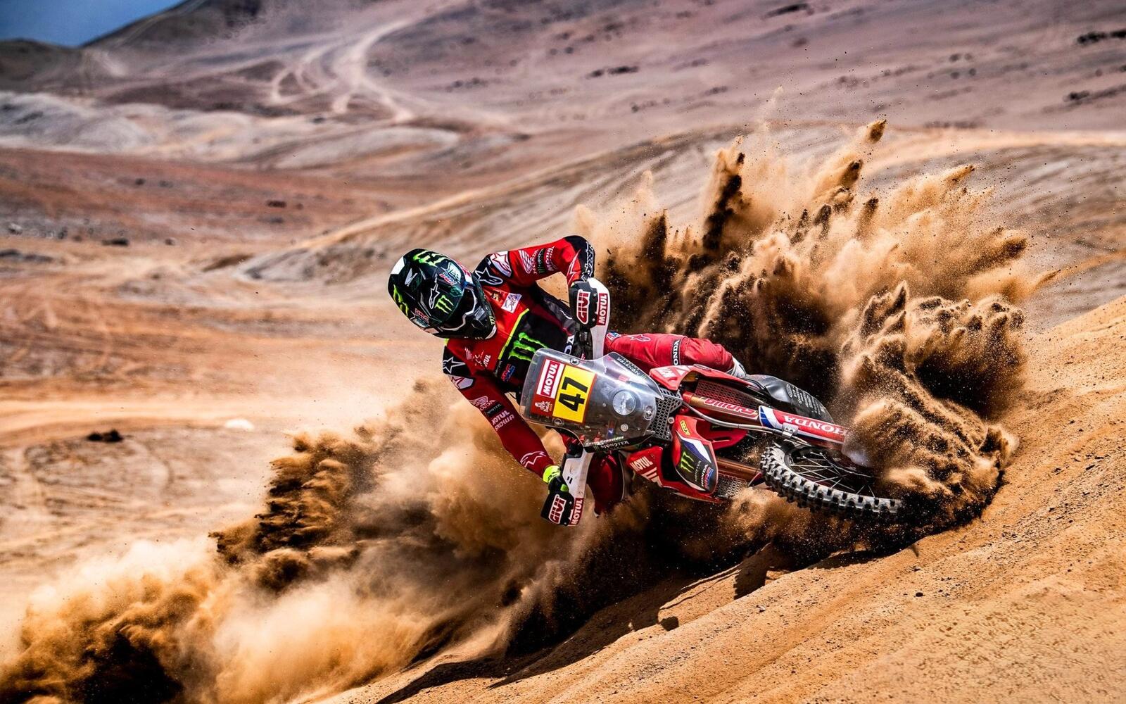 Free photo A race in the desert