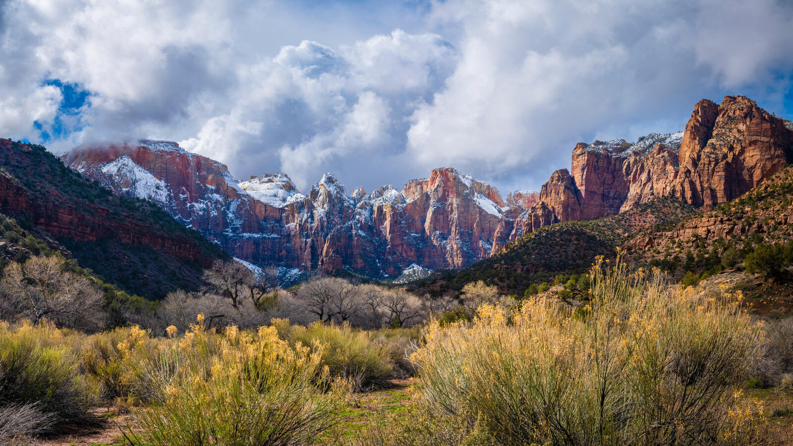Free photo Morning in Zion National Park
