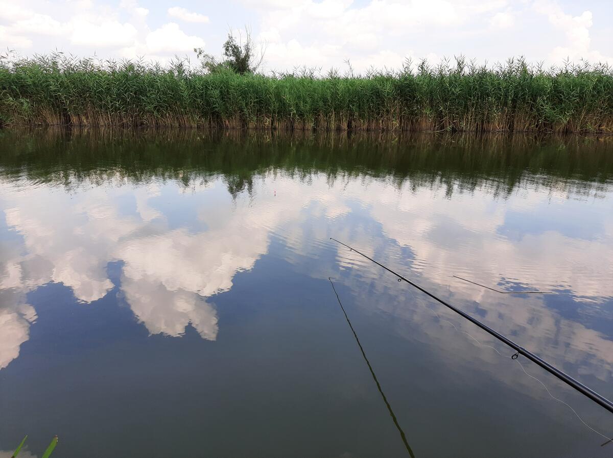Рыбалка в тихой реке отражающей облака