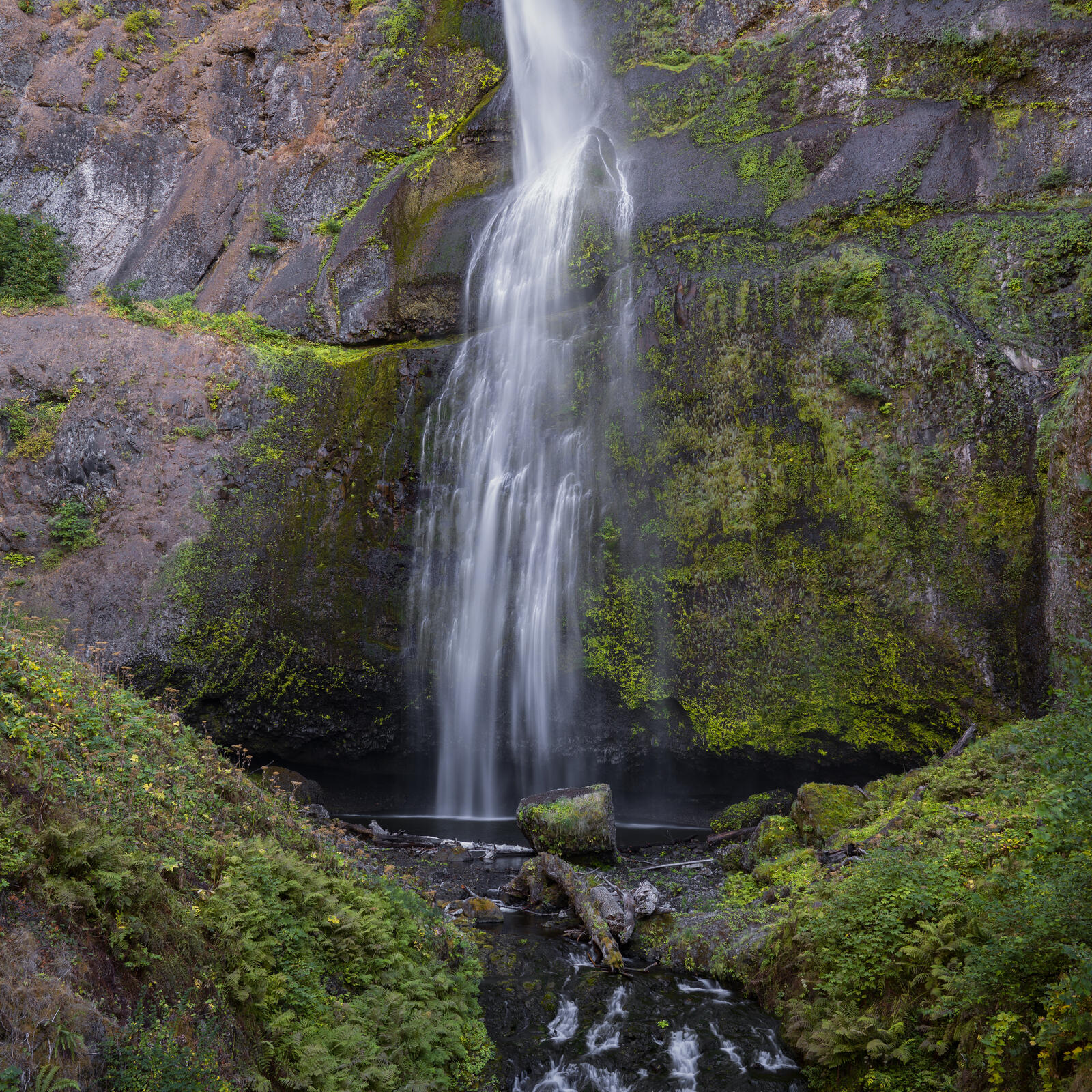 Бесплатное фото Водопад с горы покрытой мхом