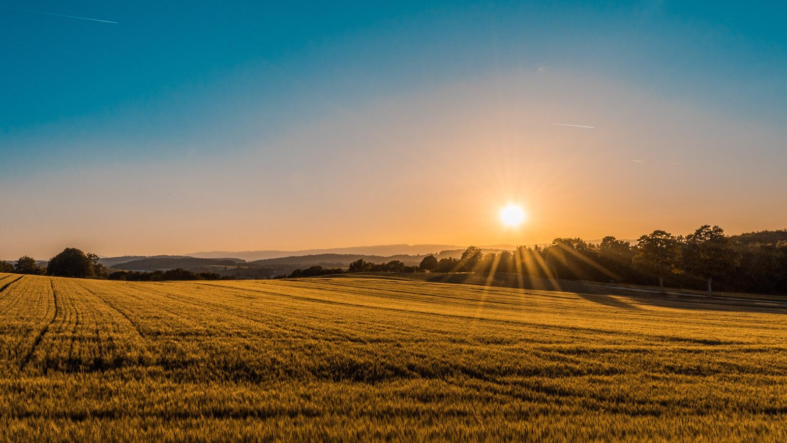 Бесплатное фото Вечернее солнце над полем