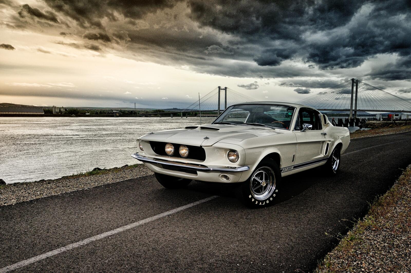 Wallpapers Ford Mustang silvery sea shore on the desktop