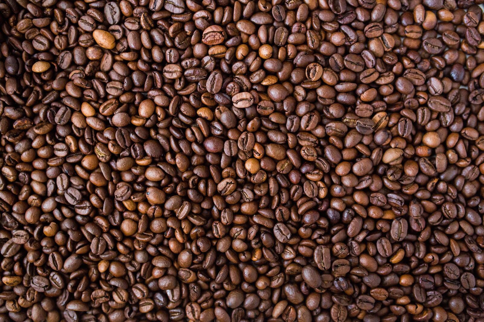 Free photo Texture with coffee beans