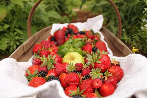 Вкусные ягоды на белой ткани