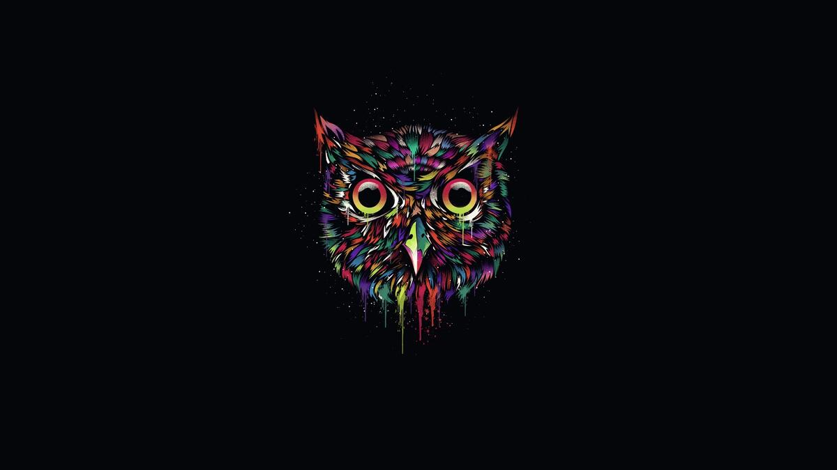 Colorful owl head