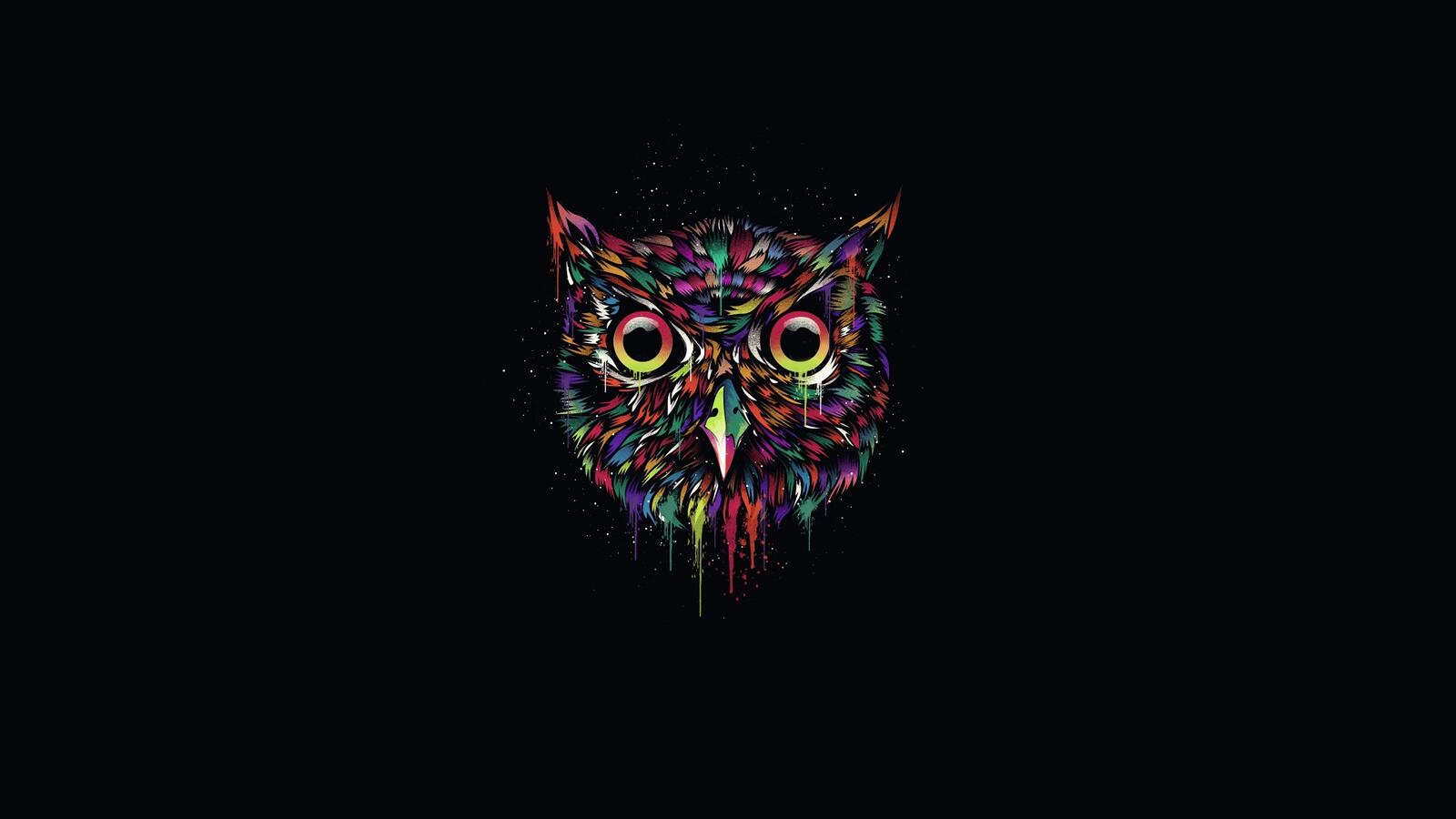 Free photo Colorful owl head