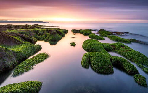 Reefs of thick green moss at sunset