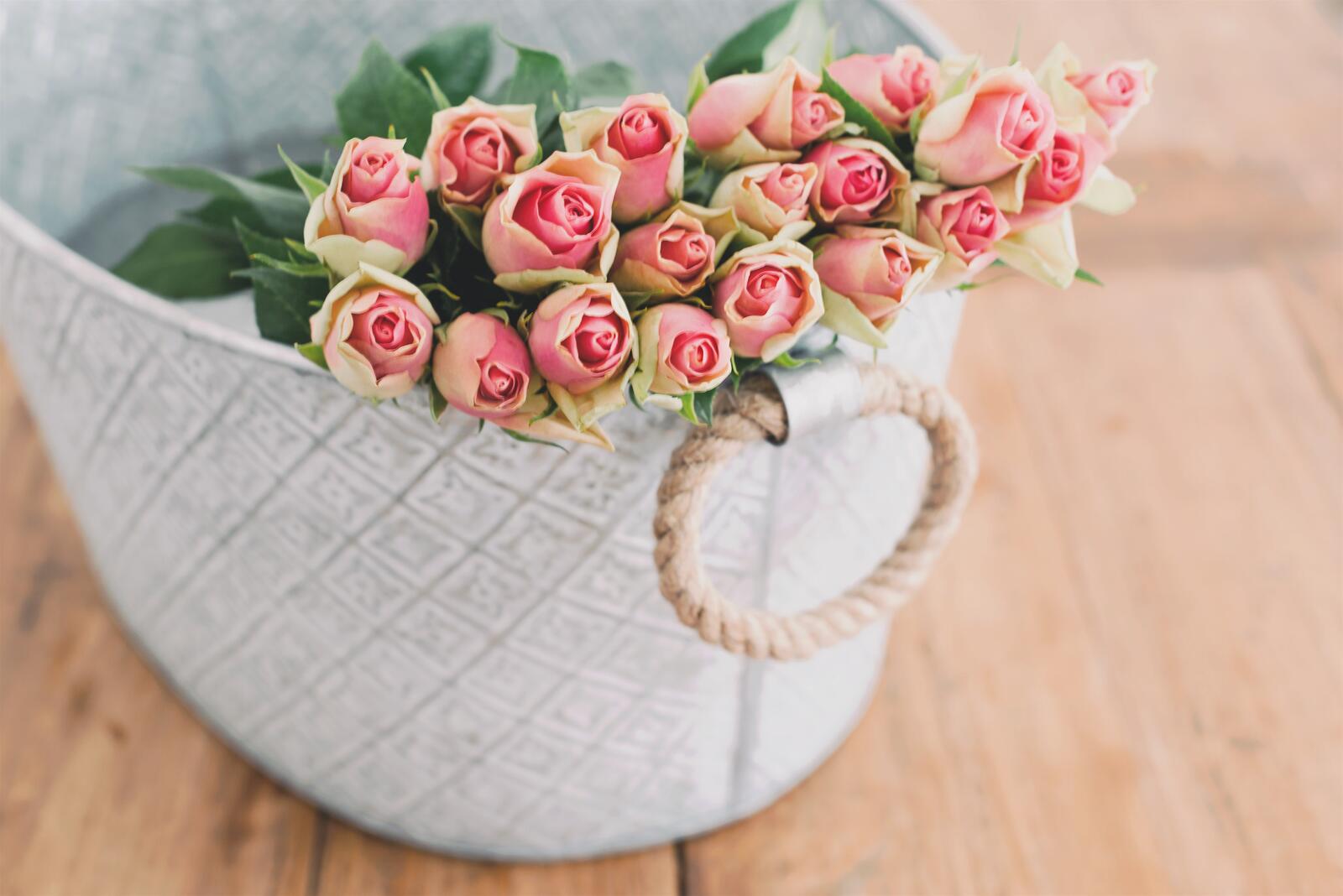 Free photo Wallpaper with a basket of pink roses