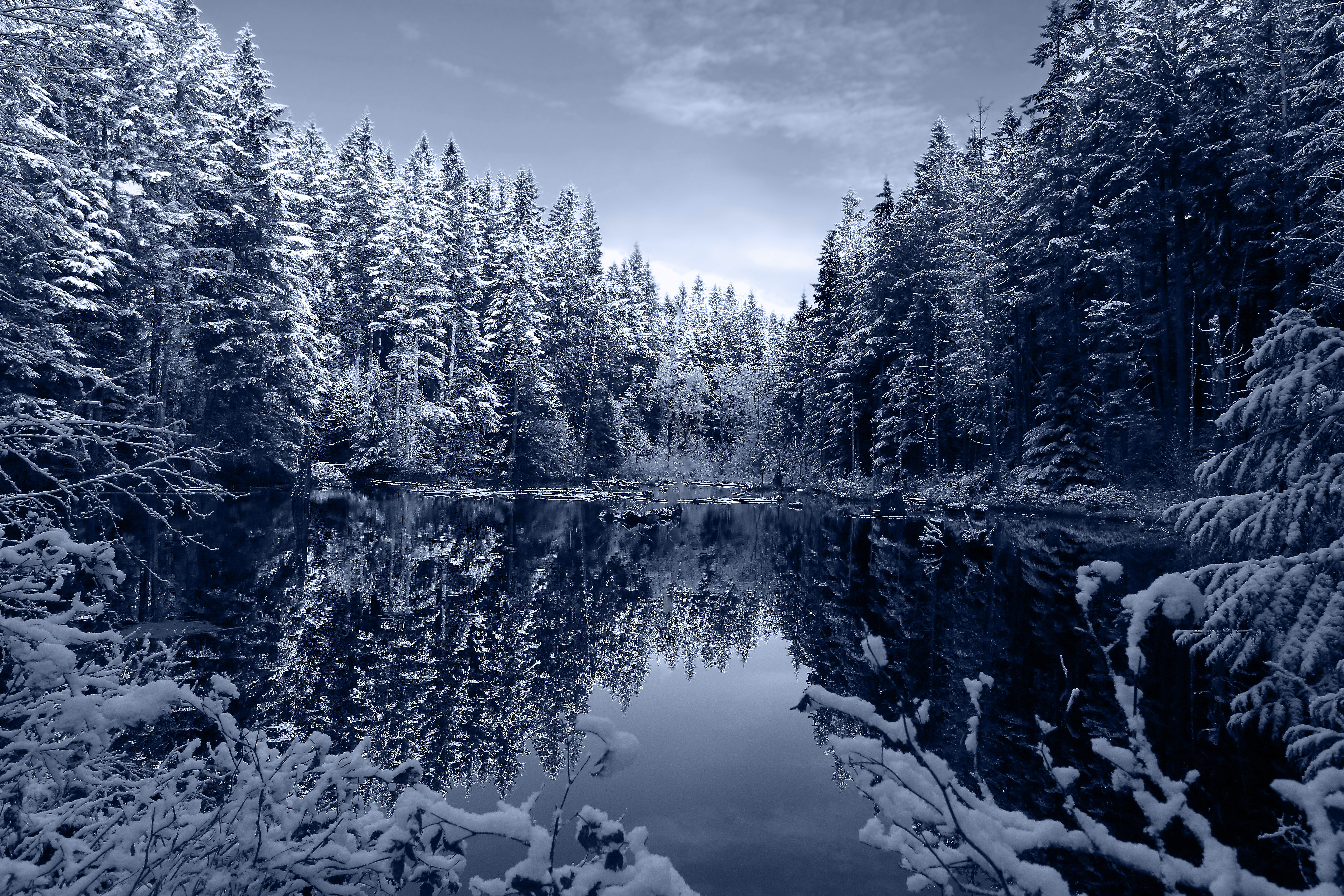 Озеро в зимнем еловом лесу