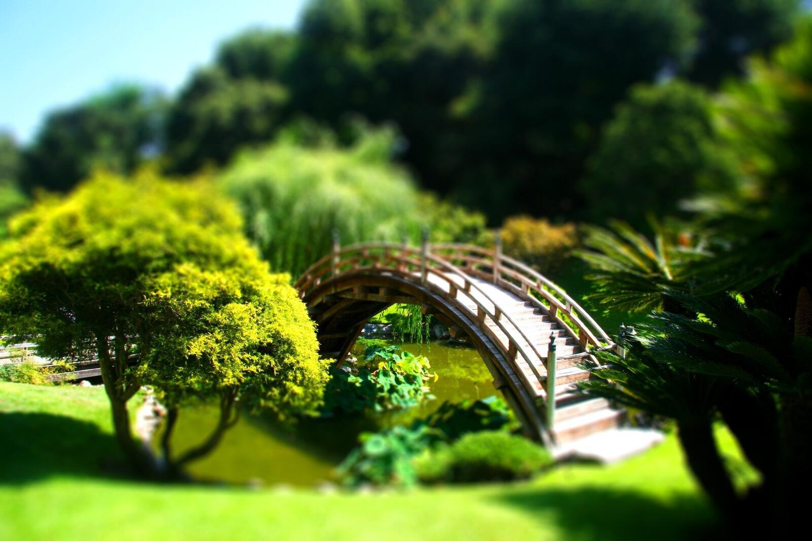 Бесплатное фото Наклонный мост через реку в парке