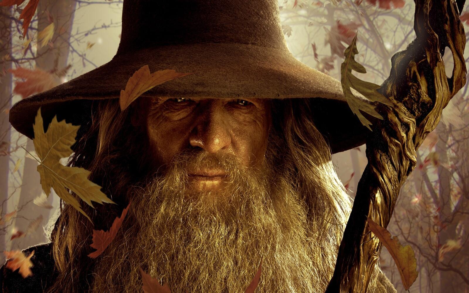 Wallpapers gandalf hobbit lord of the rings on the desktop