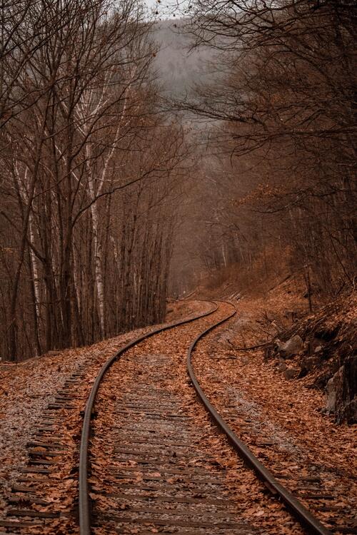 Осенняя железная дорога с опавшими сухими листьями