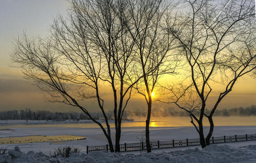 Sunrise through the trees on the bank of the Yenisei River