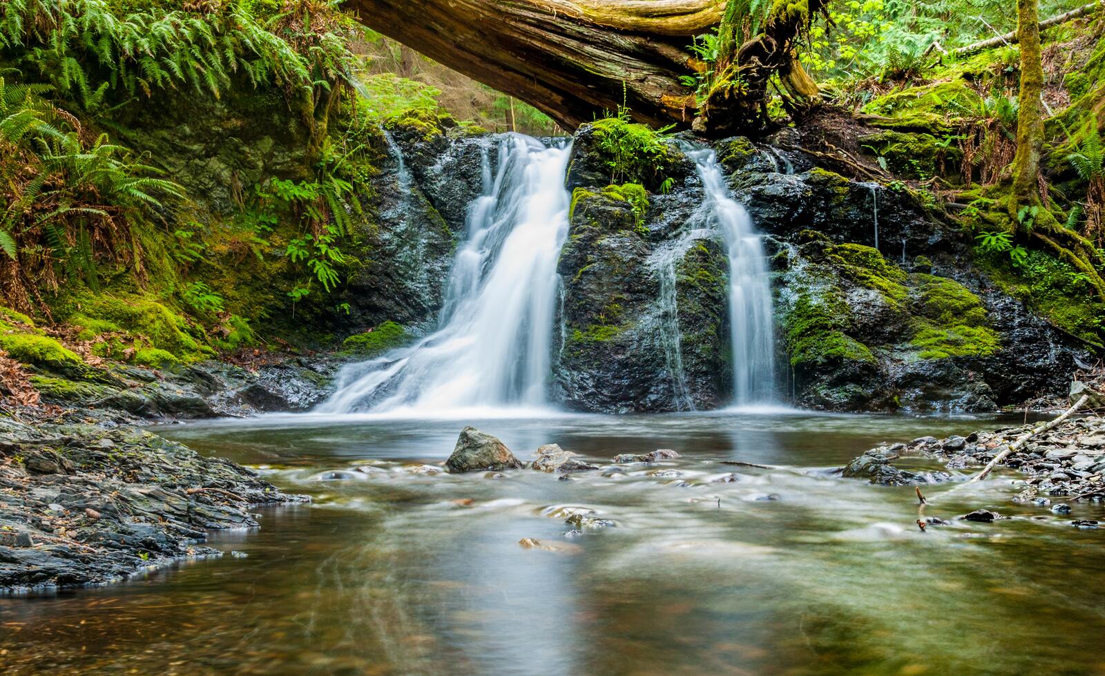Free photo Wallpaper with forest waterfall