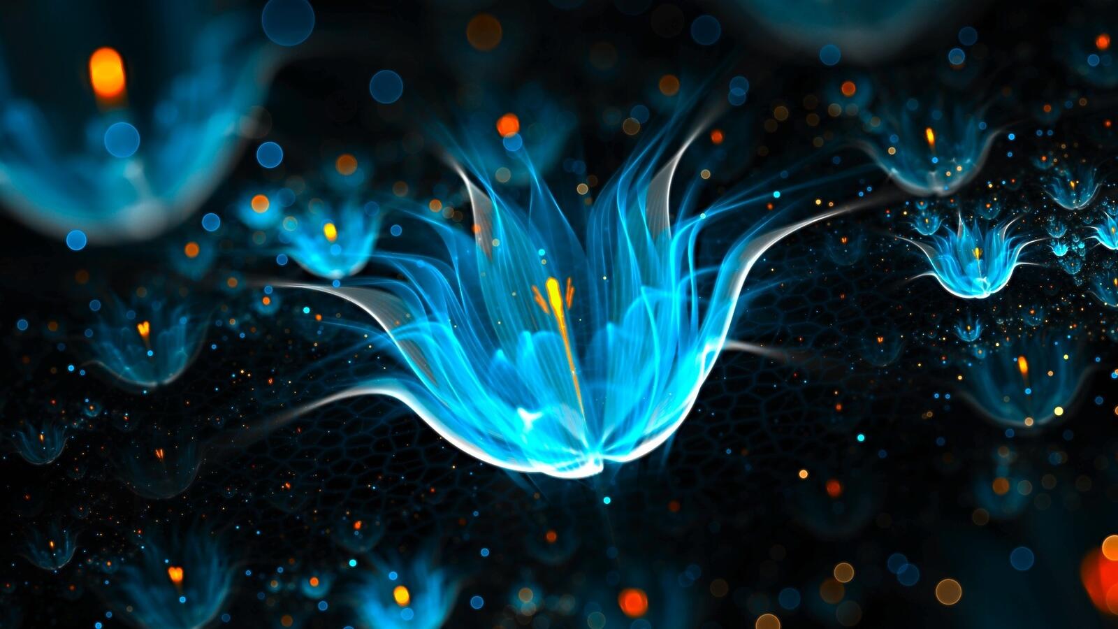 Wallpapers fractal artwork design wallpaper aqua flower on the desktop