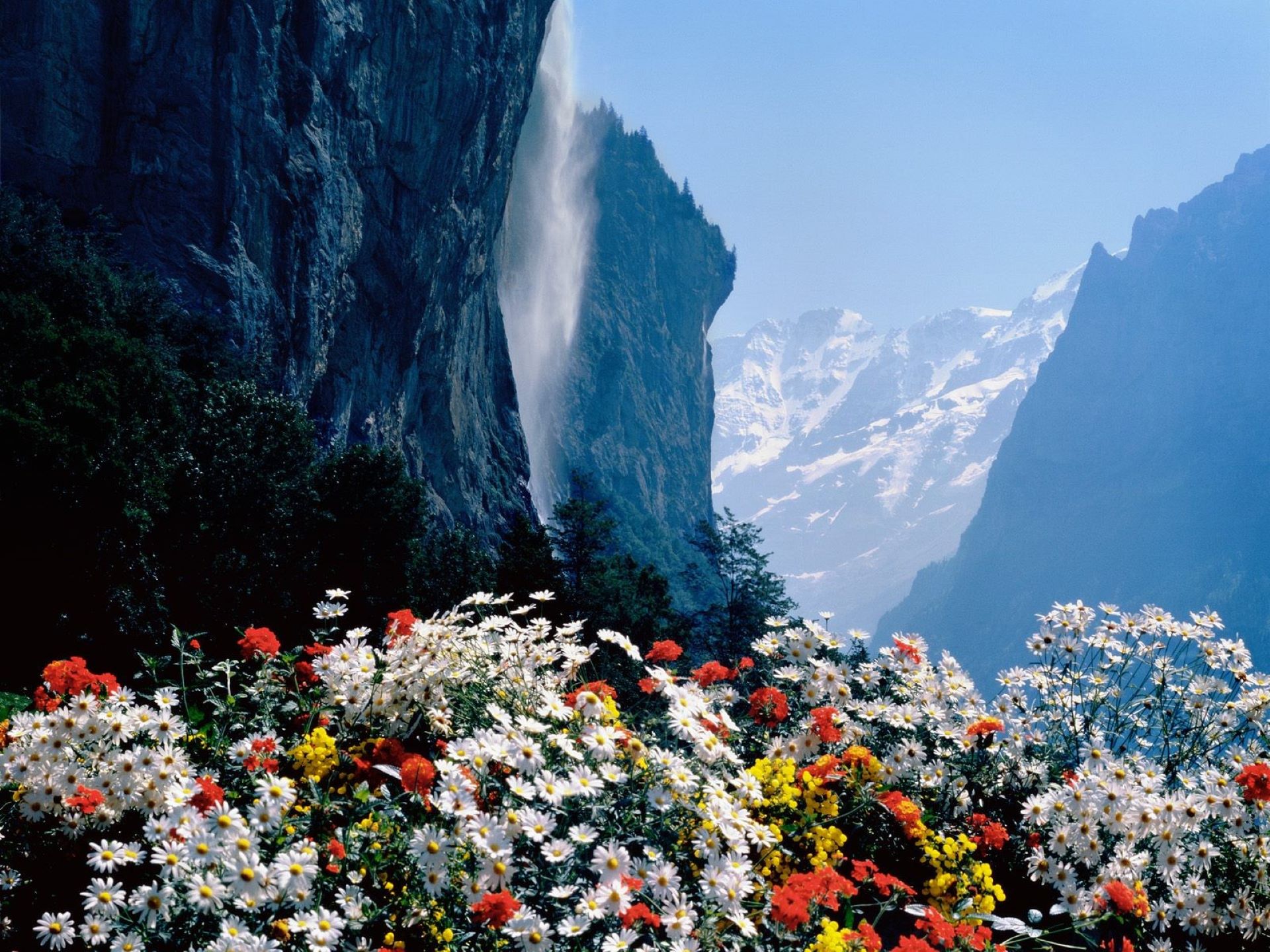 Free photo Beautiful mountain landscape with flowers