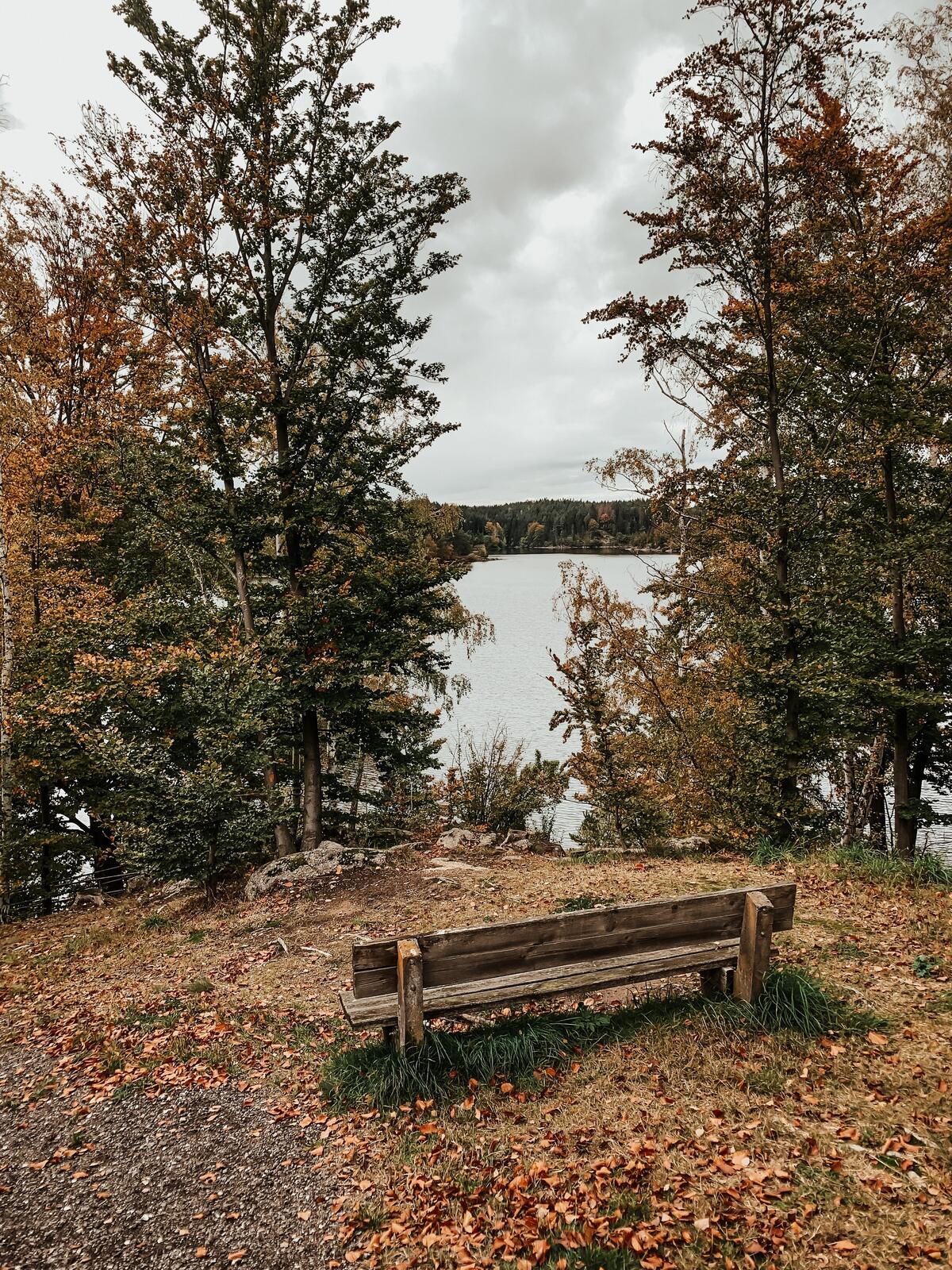 A bench on the shore of the lake with a beautiful landscape