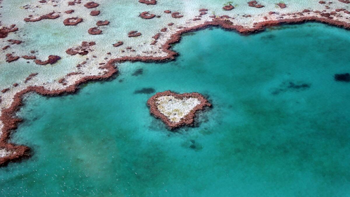 Unusual little island in the shape of a heart