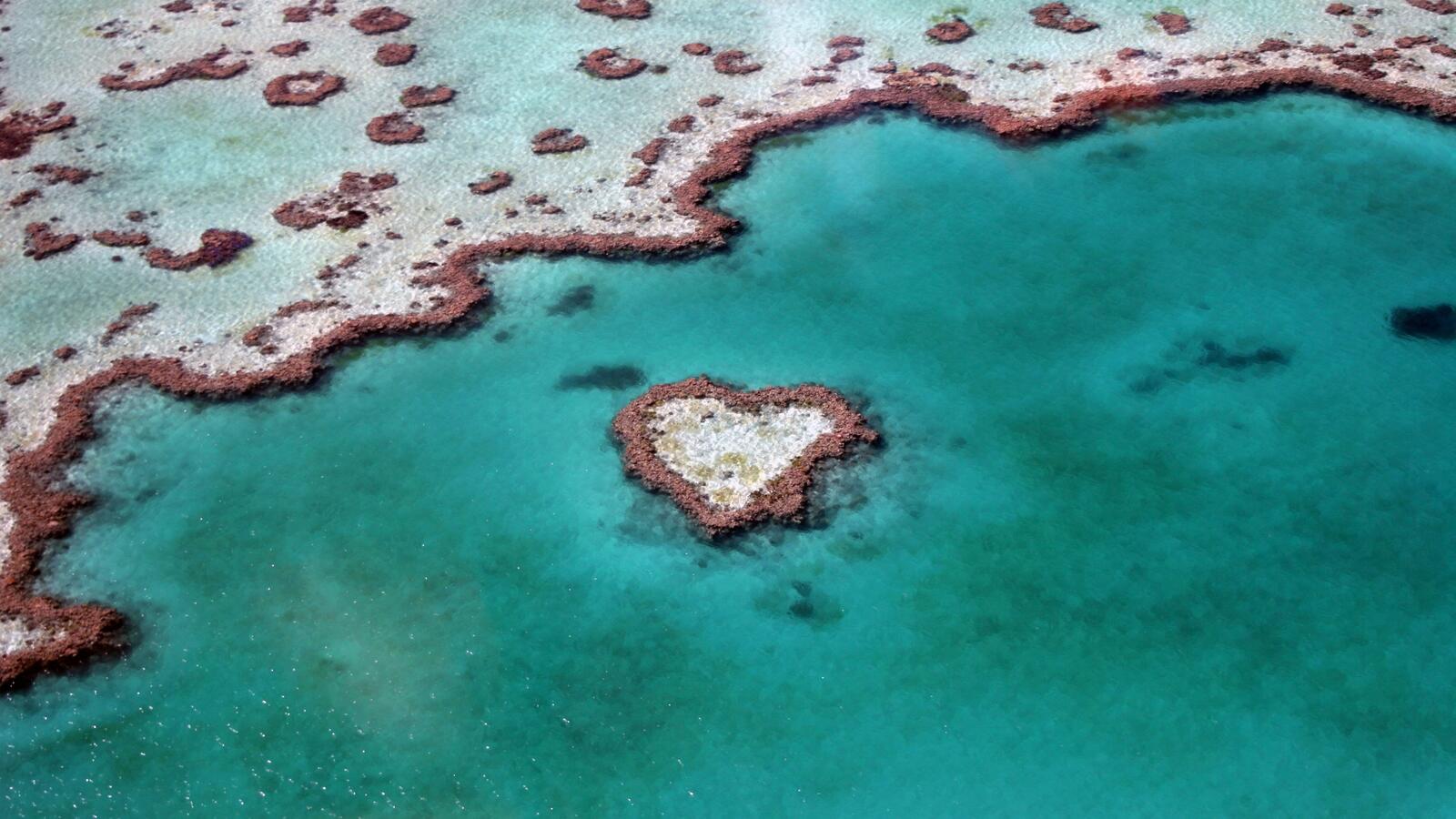 Бесплатное фото Необычный маленький остров в виде сердца