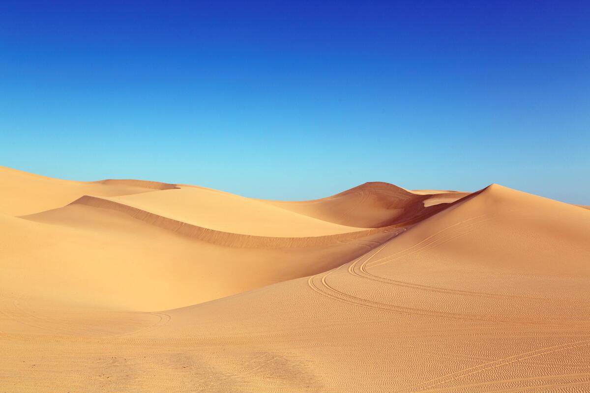 晴朗的天空下的沙漠