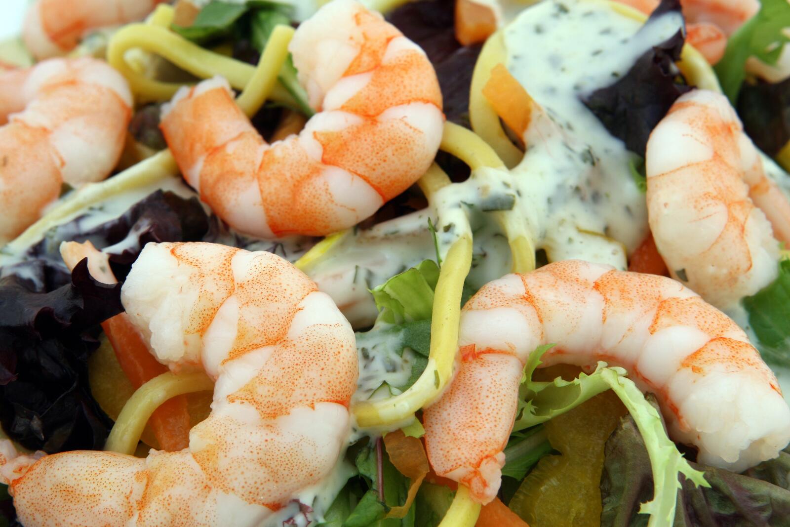 Free photo Shrimp salad