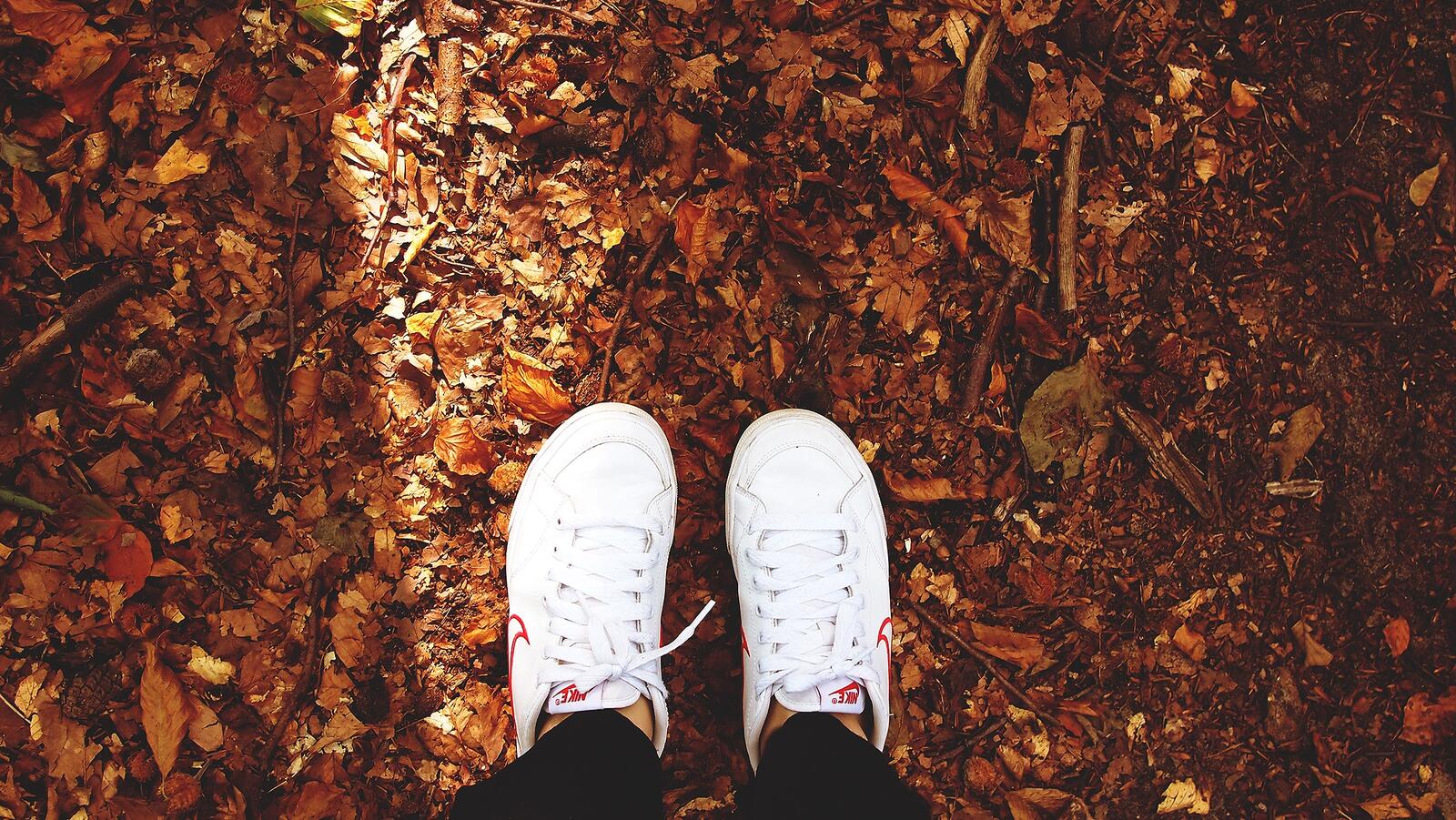 免费照片穿着白色的运动鞋走在秋天的地面上，当树叶落下时