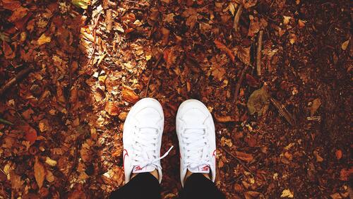 Wearing white sneakers, walking on the autumn ground as the leaves fall.