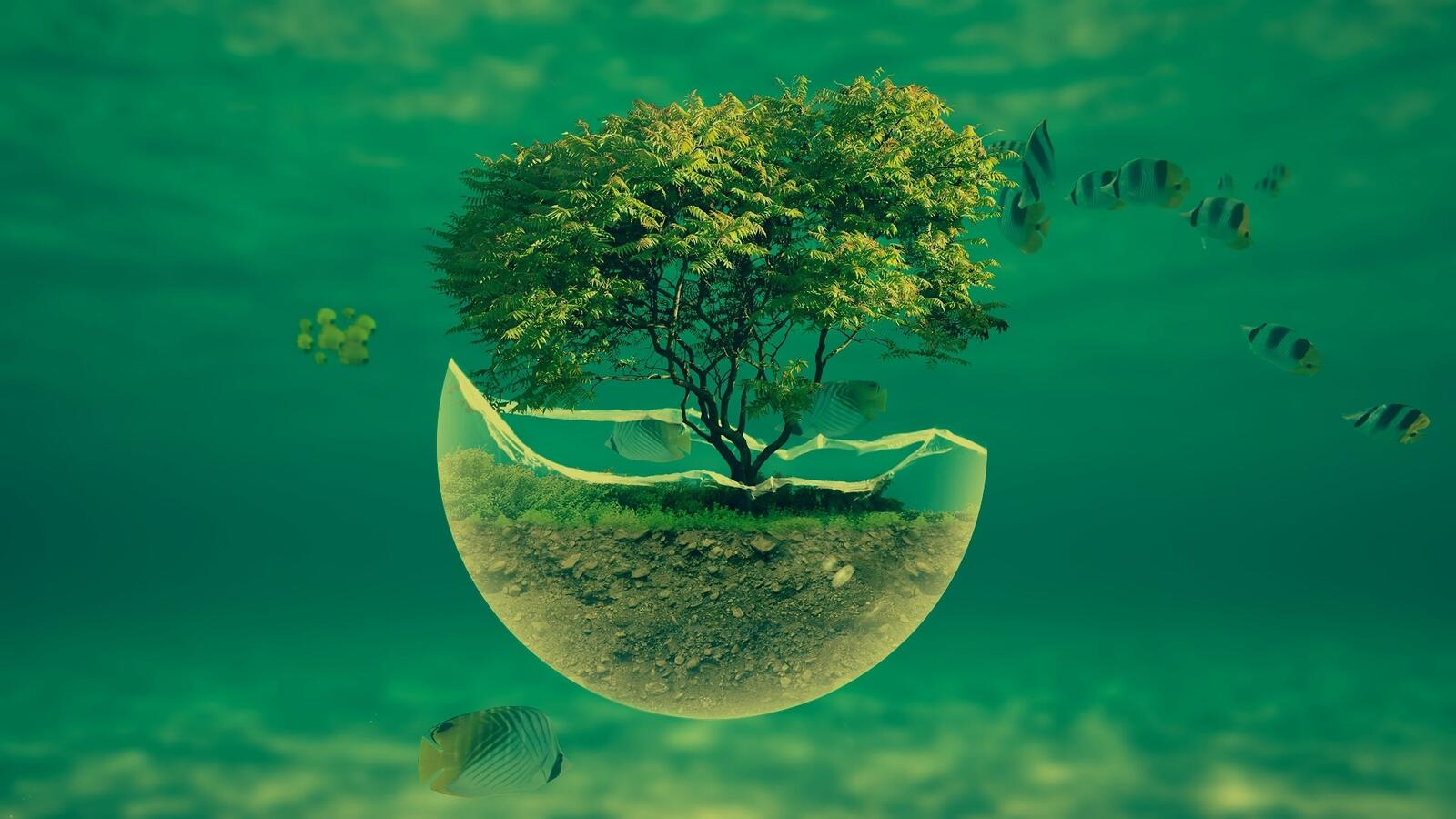 Бесплатное фото Дерево с зелеными листьями на кусочке земли