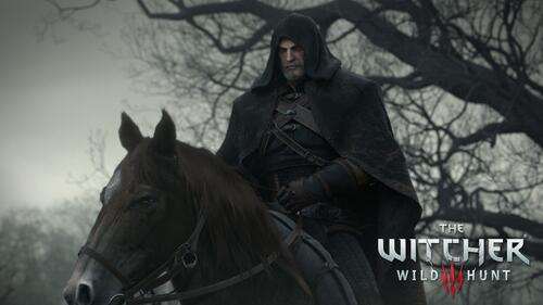 Заставка из The Witcher 3 Wild Hunt