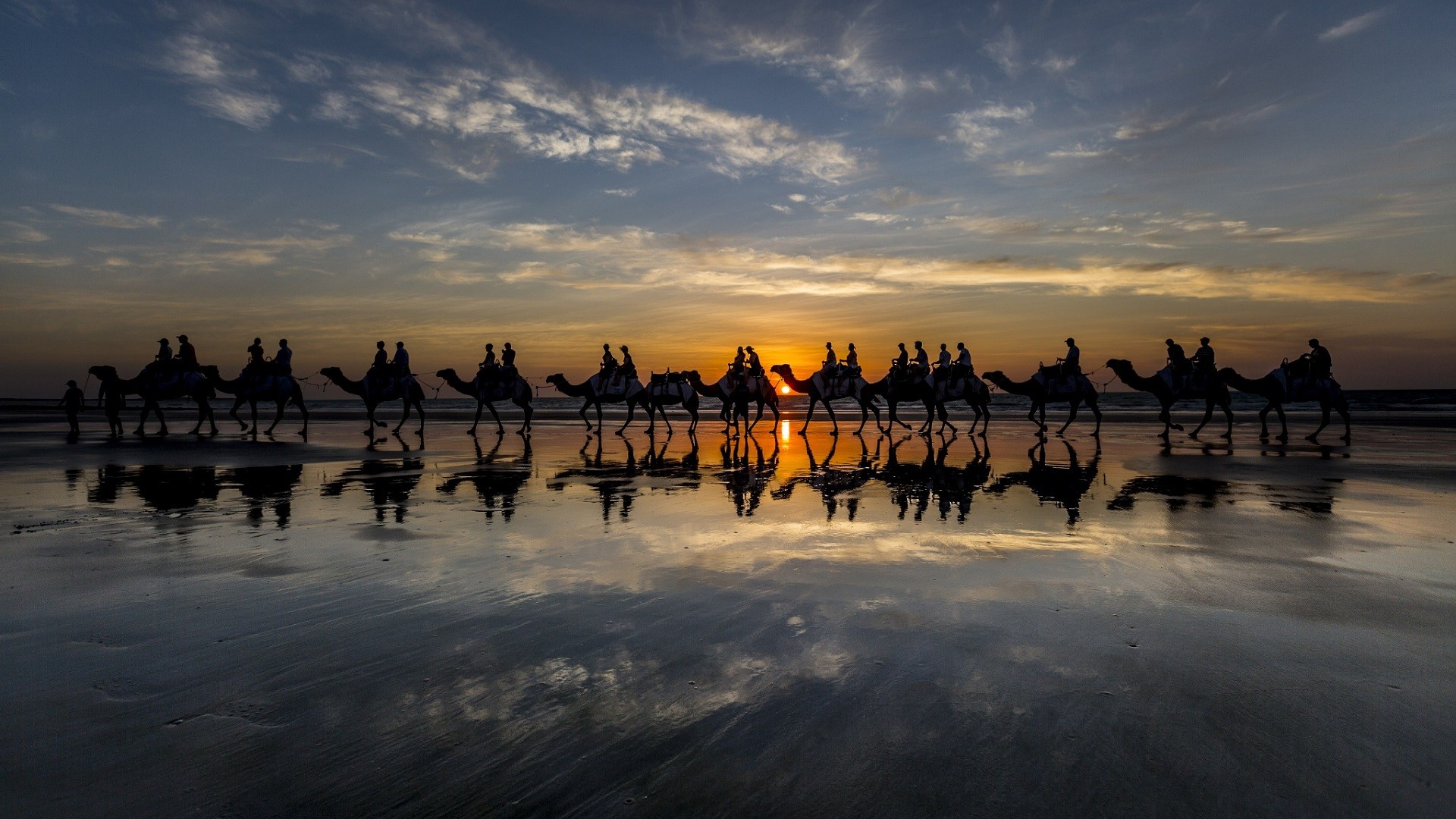 Free photo Traveling by camel in Egypt