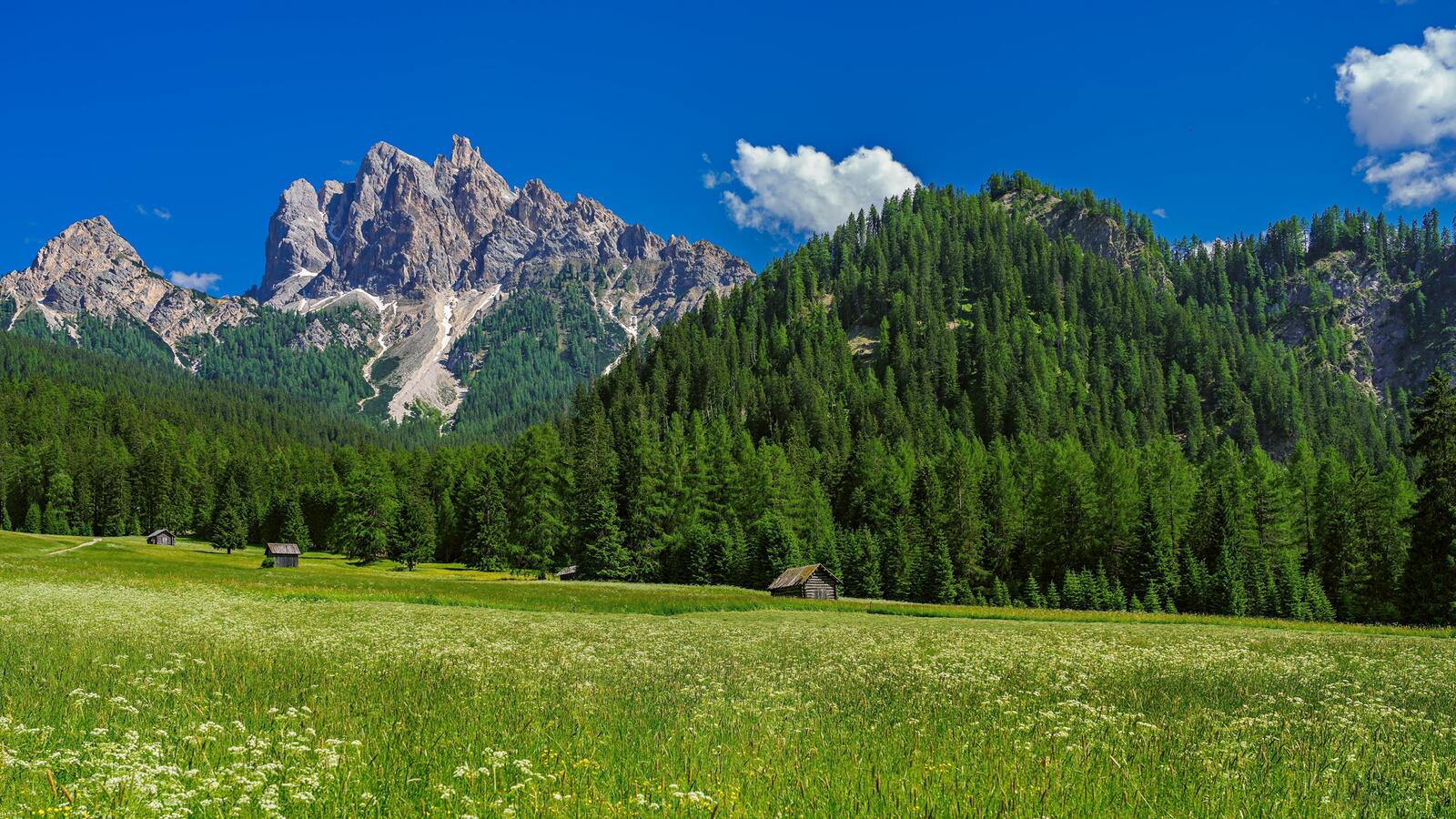 Free photo Beautiful field in the italian alps